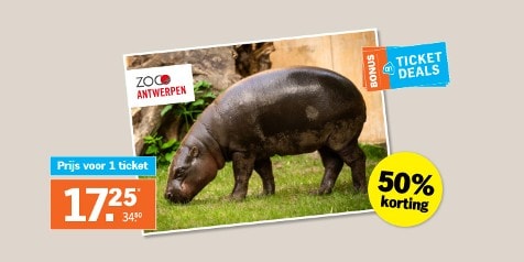Actie op entreetickets voor ZOO Antwerpen met 50% korting, afbeelding van een dwergnijlpaard