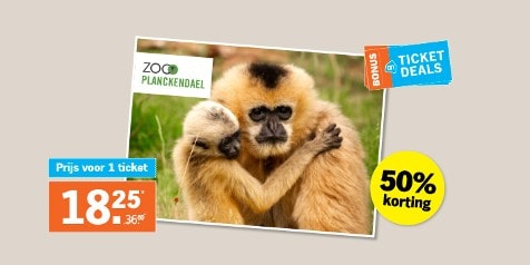 Aanbieding voor dierentuin Zoo Planckendael met twee apen die elkaar omhelzen, 50% korting op ticket, prijs 18,25 euro voor 1 ticket
