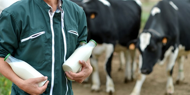 Biologische melk van Albert Heijn