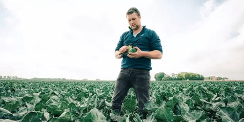 Boer met bloemkool in een veld vol bloeiende koolplanten.