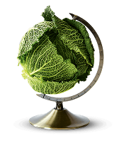 Savooikool in de vorm van een wereldbol op een standaard