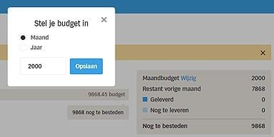 Instellingsscherm voor budgetbeheer met maand- en jaaroptie.