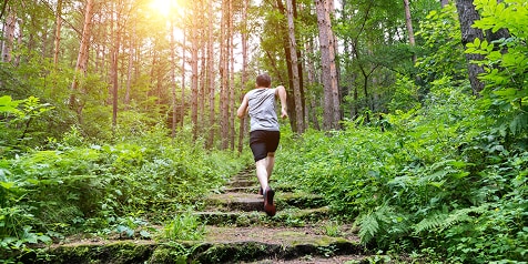 Man joggend door een bos при zonsondergang.