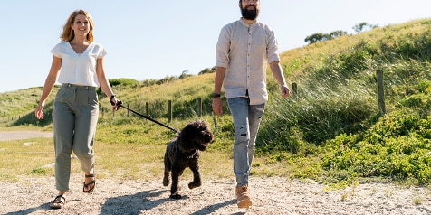 Twee personen wandelen met een zwarte poedel in een zonnige, groene omgeving.