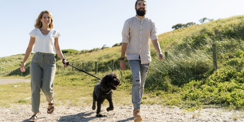 Man en vrouw wandelen met een hond in een zonnige natuurlijke omgeving.