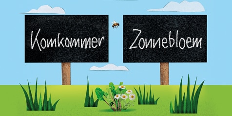 Bordjes met de teksten "Komkommer" en "Zonnebloem" in een groene omgeving met gras en bloemen.