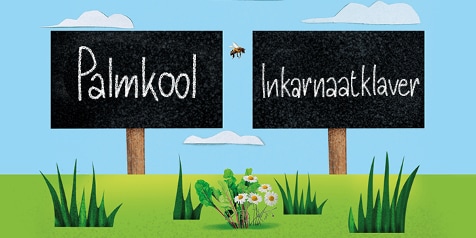 Bord met de tekst "Palmkool" en "Inkarnaatklaver" op een grasveld met bloemen en een bij.