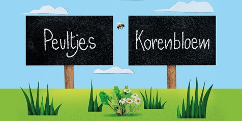 Twee zwarte borden op een grasveld met de tekst "Peultjes" en "Korenbloem".