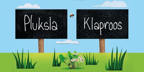 Bordjes met de woorden "Pluksla" en "Klaproos" in een tuinachtige illustratie met bloemen en gras