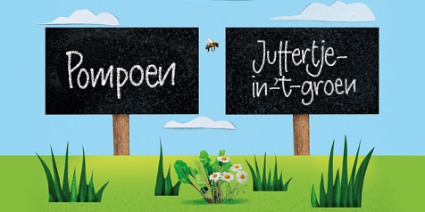 Illustratie van twee borden op gras, met teksten "Pompoen" en "Jutertje-in-'t-groen", vergezeld door een bij en bloemen.