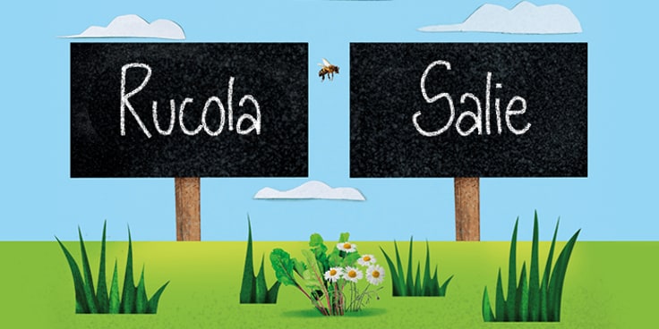 Bordjes met opschriften "Rucola" en "Salie" in een groene tuinomgeving.