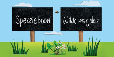 Tuinen met bordjes voor sperziebonen en wilde marjolein.