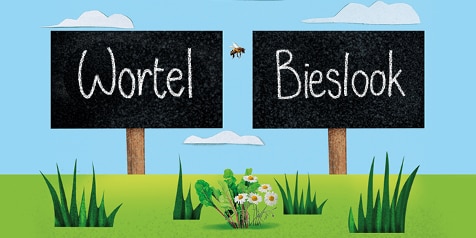 Bordjes met de tekst "Wortel" en "Bieslook" in een tuinomgeving.