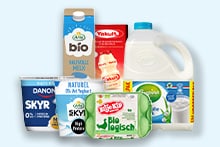 Diverse selectie van zuivelproducten, waaronder melk, yoghurt, skyr, eieren en boter van bekende merken zoals Danone en biologische huismerken, gepresenteerd tegen een lichte achtergrond.