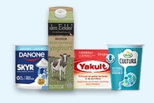 Assortiment van populaire yoghurt- en zuivelproducten: Danone Skyr, den Eelder yoghurt, Yakult drink en Cultura yoghurt