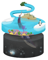 Illustratie van een onderwater- en bovenzicht met een walvis, koraalrif, en een pinguïn.