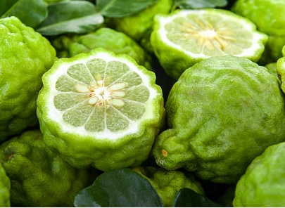 Uitgaan van filosofie Parameters Bergamot: alles wat je moet weten | Albert Heijn