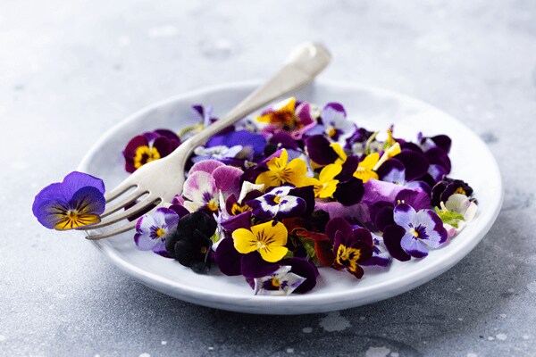 Eetbare welke bloemen kan je eten? |