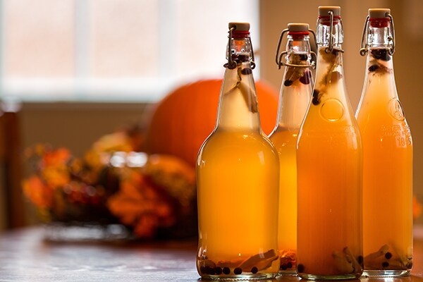 Vier kombucha flesjes