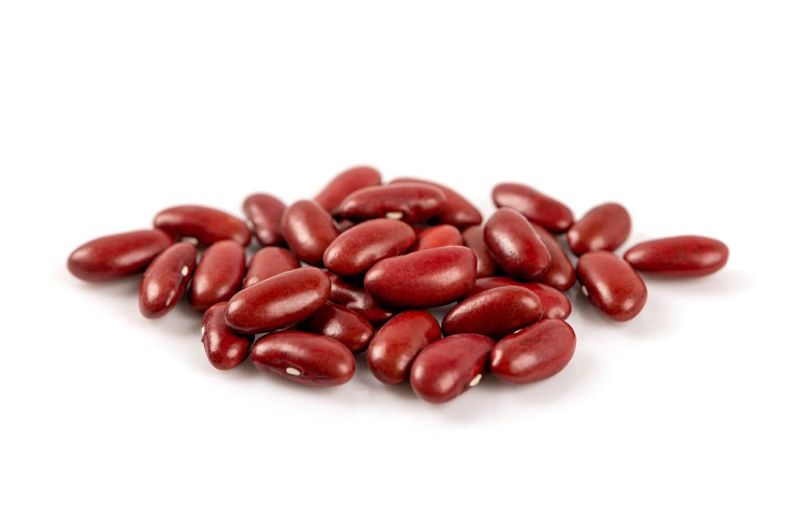 Kidneybonen