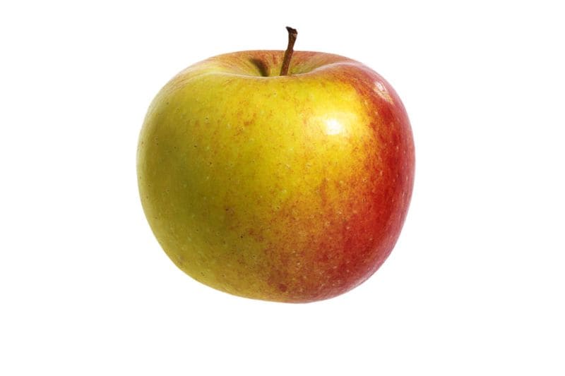 10x appelsoorten op een rij van fuji tot elstar Albert Heijn 10x appelsoorten op een rij van fuji tot elstar Albert Heijn