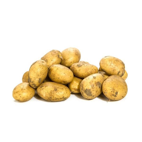 Aardappelras Frieslanders