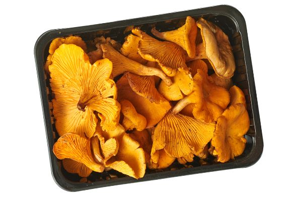 Bakje met cantharellen
