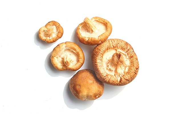 Eekhoorntjesbrood