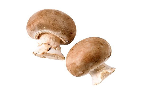 2 kastanjechampignons