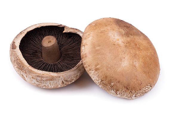 2 portobello's