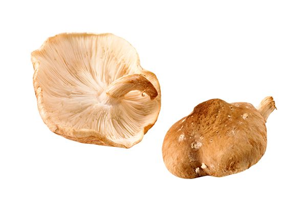2 shiitake's