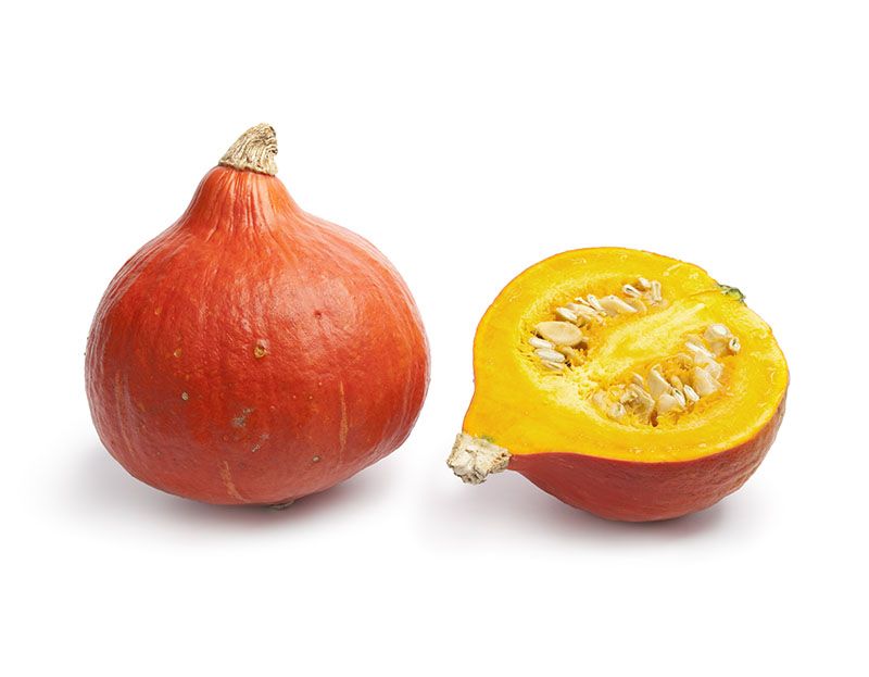 Pompoensoort 3: Hokkaido pompoen