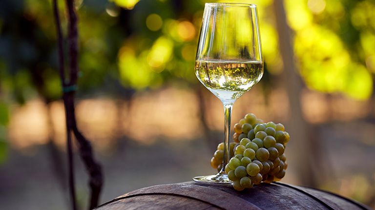 Onbevredigend Kwijtschelding Helaas Franse wijnen: alles voor (beginnende) wijnliefhebbers | Albert Heijn