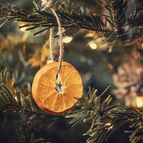 lager sieraden duidelijkheid Kerstdecoratie maken: 6x de leukste kerstcreaties | Albert Heijn