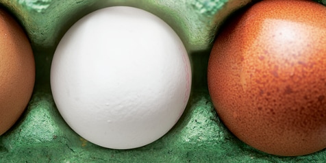 Witte en bruine eieren in een groene eierdoos