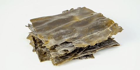 Gedroogde zeewierbladeren op een witte achtergrond