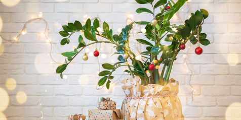 Kamerplant versierd met kerstballen en lichtjes, met cadeautjes eronder.
