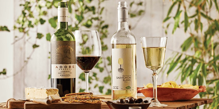 Flessen Adobe Reserva rode wijn en Sauvignon Blanc witte wijn met glazen, kaas en snacks op een tafel.