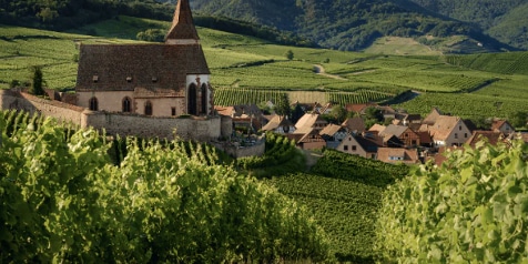 Kerk in achtertuin van wijngaard in een schilderachtig dorpje omringd door groene heuvels.