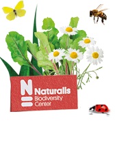 Illustratie van bloemen, bladeren en insecten met het logo van Naturalis Biodiversity Center.