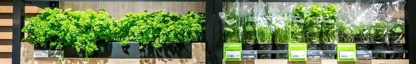 Biologische kruiden, zoals peterselie en bieslook, op een schap bij Albert Heijn.