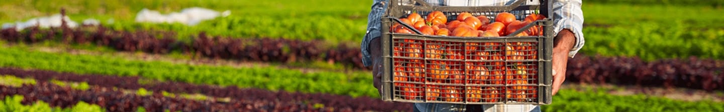 Bij Albert Heijn doen we er alles aan om voedselverspilling te bestrijden