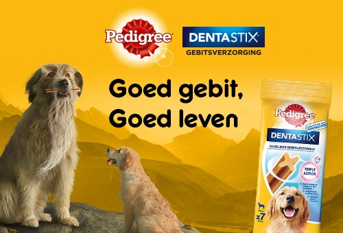 Mondstuk Onderhandelen Boomgaard Pedigree