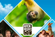 Slingerapen bij Apenheul logo