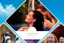Afbeelding van ontspanning bij Elysium met achtergrond van pinguïns en een zonnige omgeving.