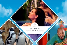 Collage met een vrouw in een wellness-spa van Elysium, zwemmende pinguïns en een lachende man in een attractiepark.