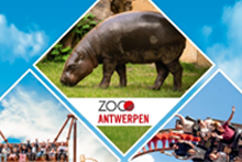 zoo