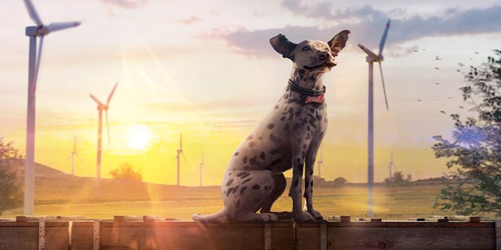 Bud renewable energy hond