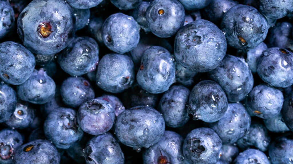 Blauwe bessen handige bewaartips en recept inspiratie Albert Heijn