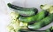 Courgette
